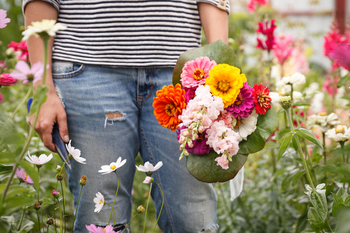 Create a cut flower garden