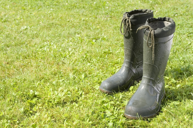 Garden wellies sales