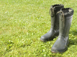 Wellies & Gloves